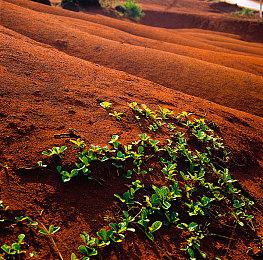 生存VR FPS游戏《穿越半径》续作《穿越半径2》将于7月25日开启抢先体验